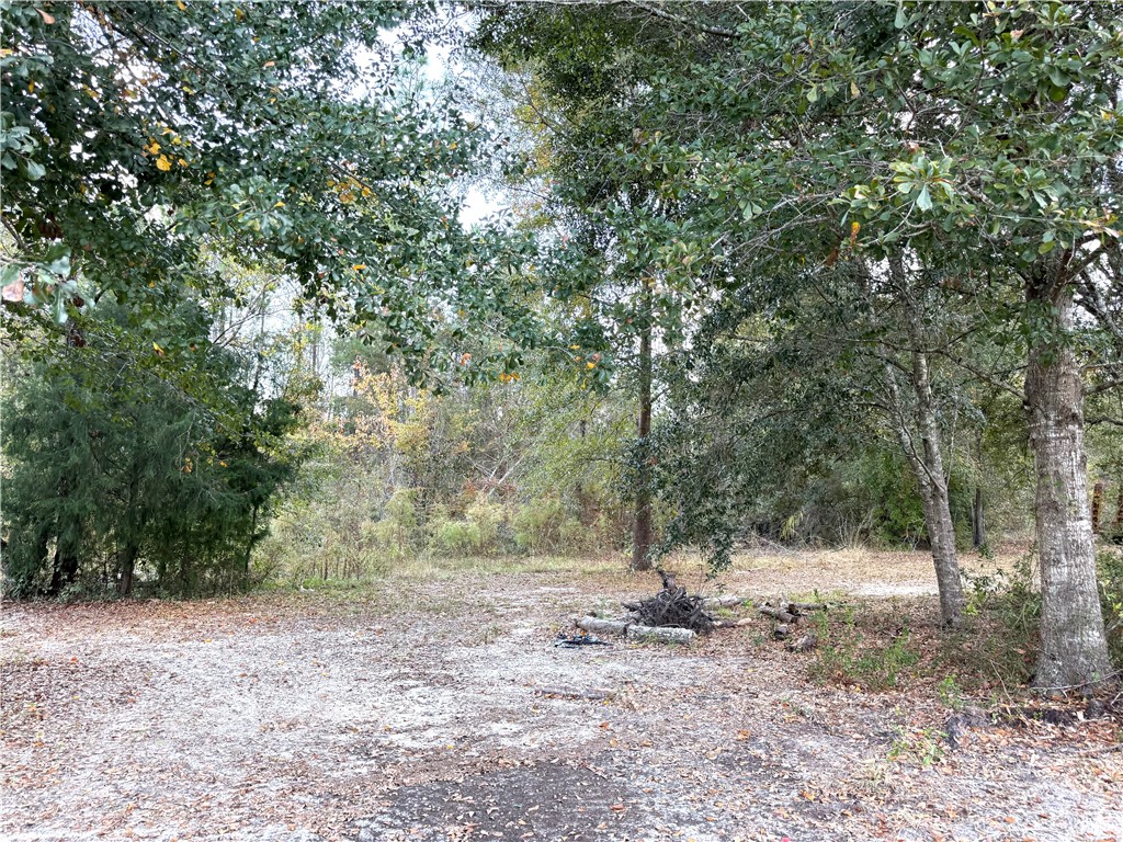 7532 Central Avenue Waycross, GA 31503 - Photo 49 of 54