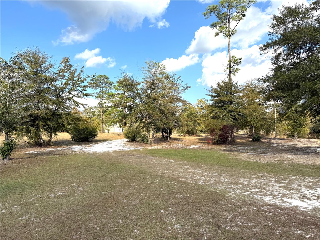 7532 Central Avenue Waycross, GA 31503 - Photo 50 of 54