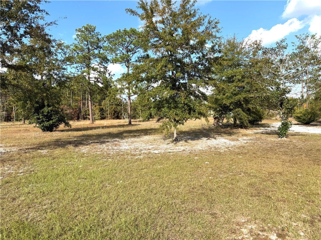 7532 Central Avenue Waycross, GA 31503 - Photo 51 of 54