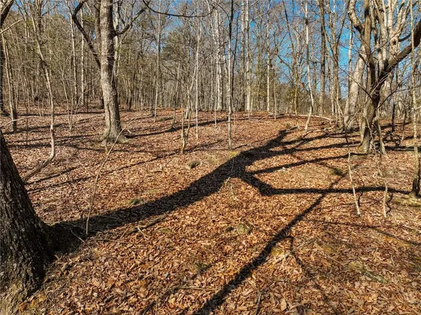 a view of a backyard of the house