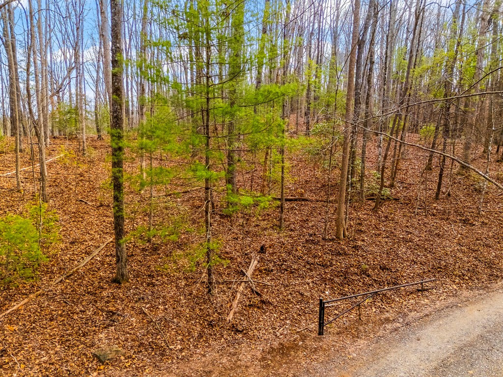 1.03-ac Guy Eller Road Murphy, NC 28906 - Photo 7 of 27