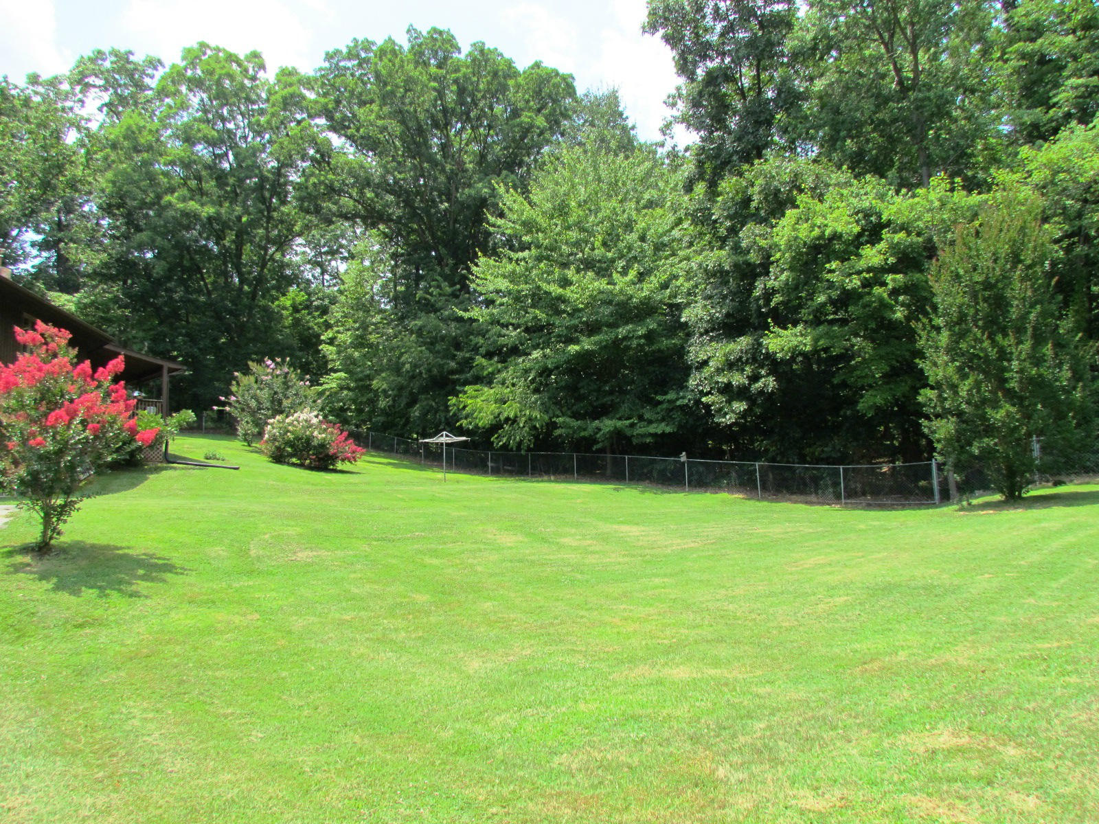 1047 4th Street Blue Ridge, VA 24064 - Photo 12 of 28 Back Yard