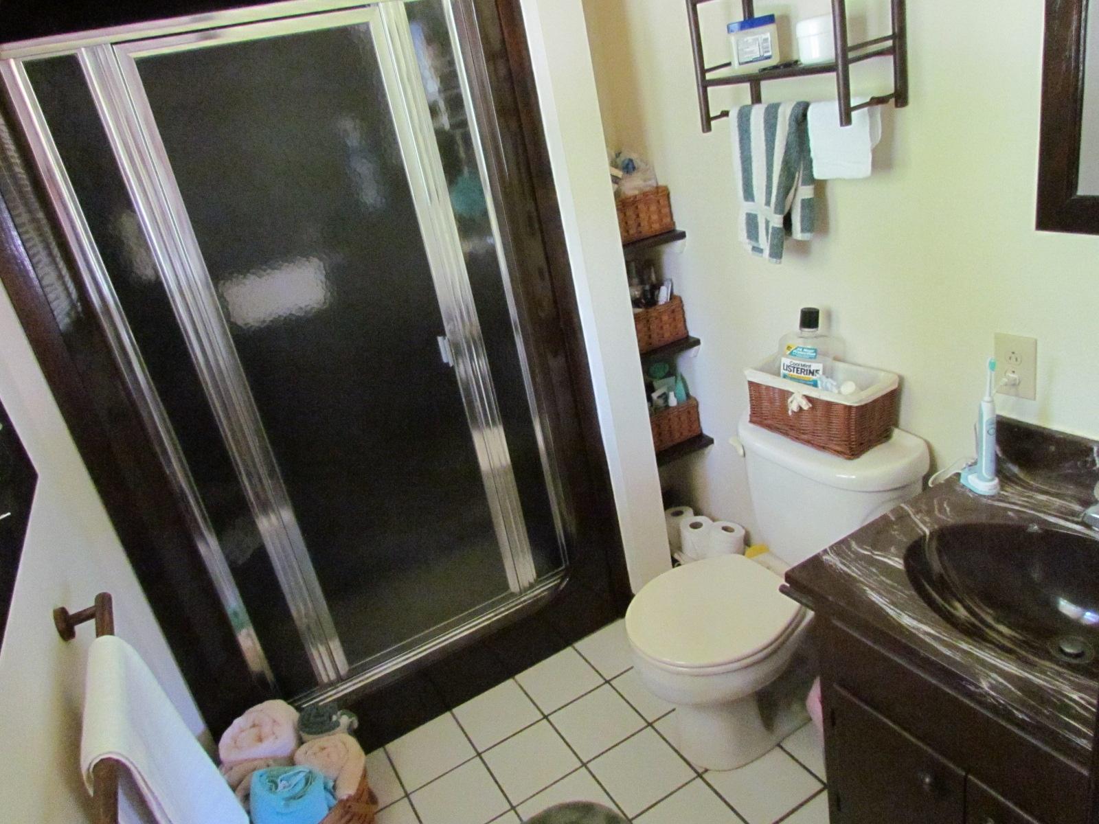 1047 4th Street Blue Ridge, VA 24064 - Photo 19 of 28 Master Bath