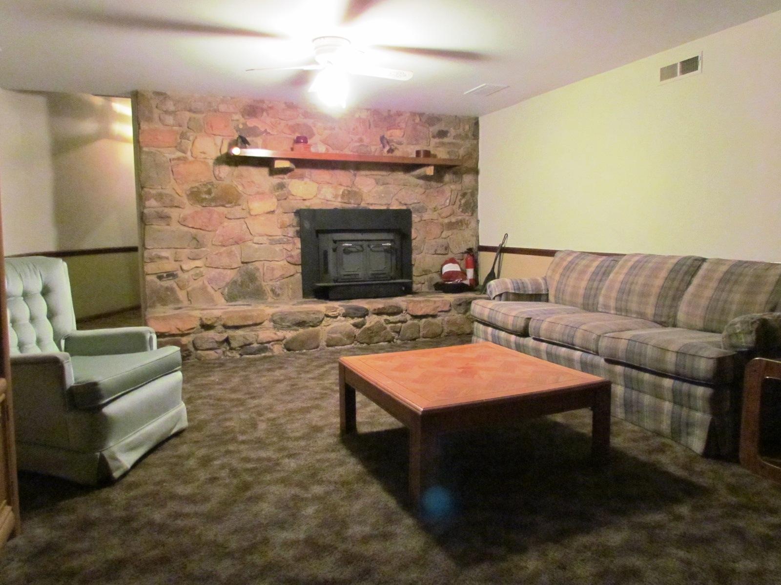 1047 4th Street Blue Ridge, VA 24064 - Photo 24 of 28 Den Lower Level