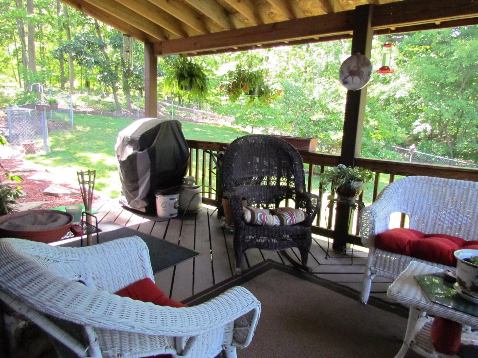1047 4th Street Blue Ridge, VA 24064 - Photo 6 of 28 Cover Deck