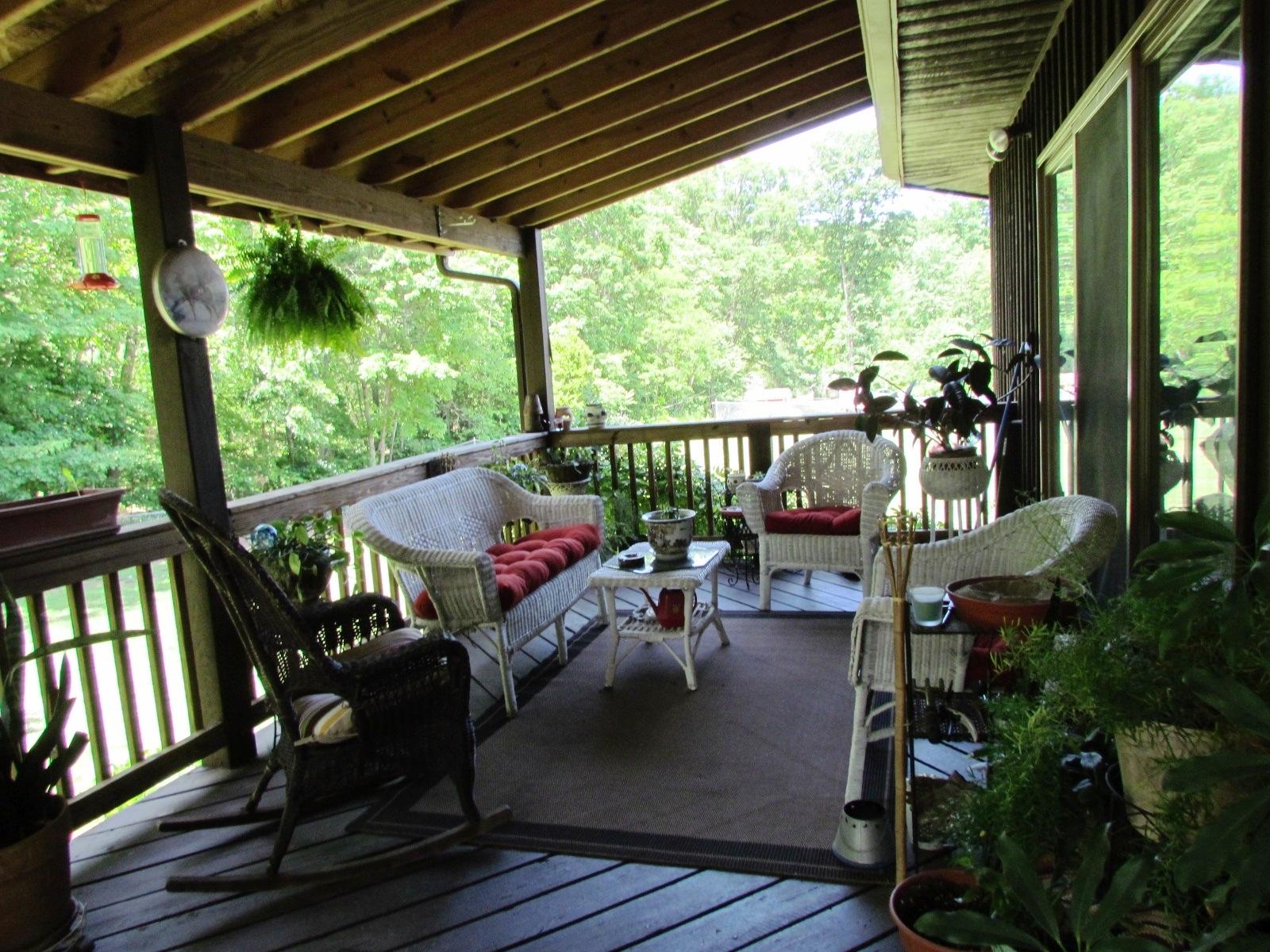 1047 4th Street Blue Ridge, VA 24064 - Photo 7 of 28 Cover Deck