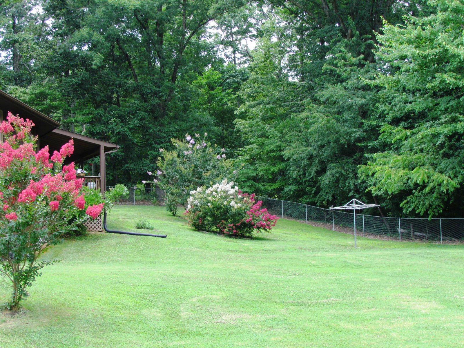 1047 4th Street Blue Ridge, VA 24064 - Photo 8 of 28 Back Yard