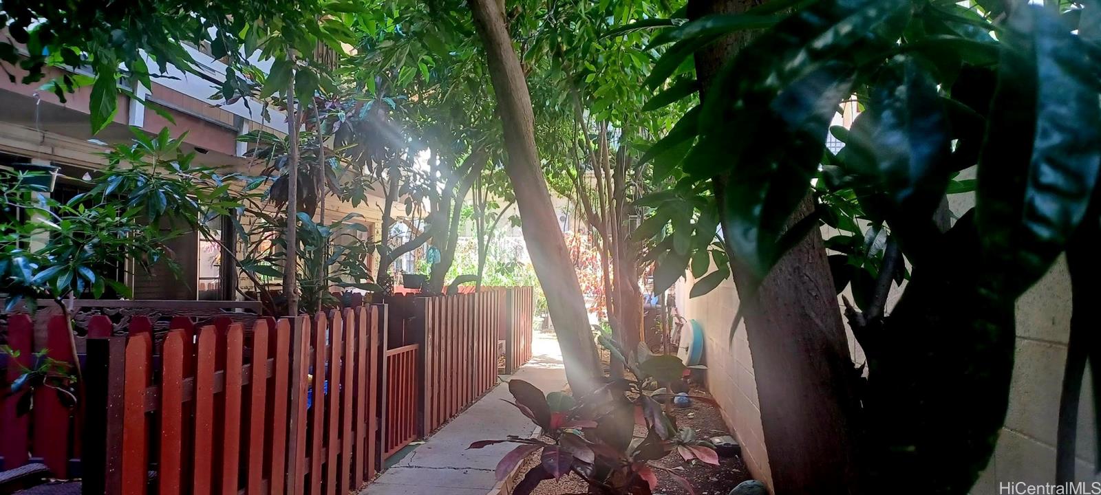 423 Kaiolu Street, Unit 106 Honolulu, HI 96815 - Photo 4 of 25 a view of backyard with a large trees and wooden fence