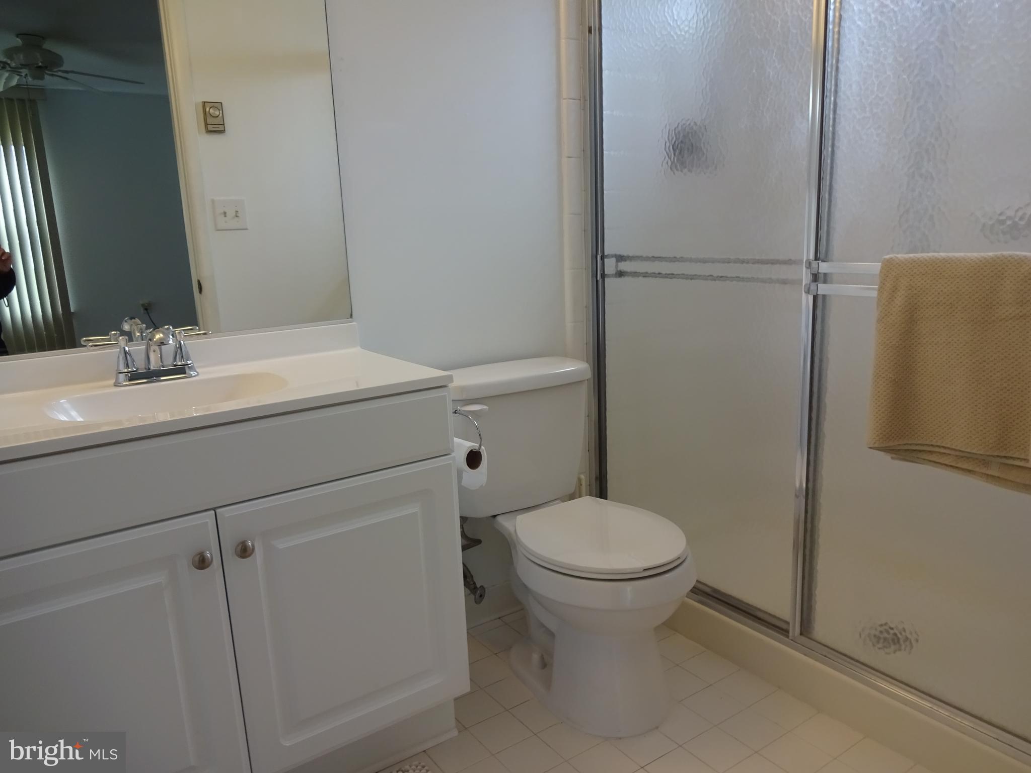 7 Ingham Way Southampton, NJ 08088 - Photo 12 of 20 Master Bathroom