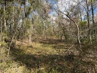 $109,000 | Undisclosed Address, Bell, FL 32619