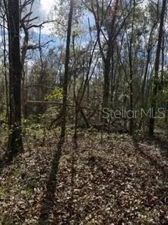 a view of a bathroom