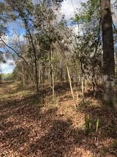 a big yard with lots of green space and a fountain