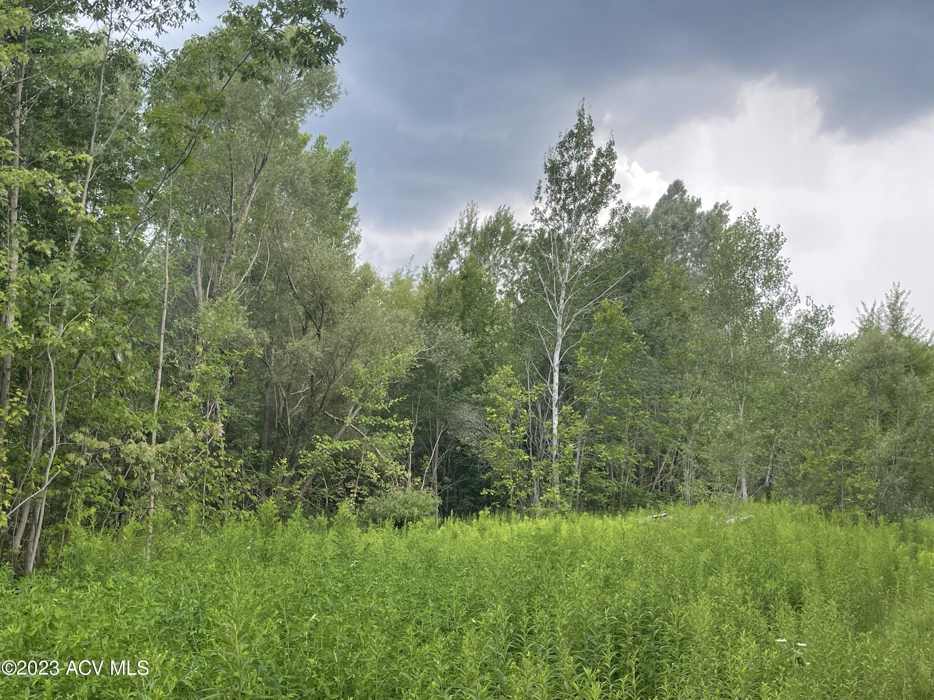 0 Wallace Hill Road Plattsburgh, NY 12901 - Photo 6 of 10 Gallery Image 6