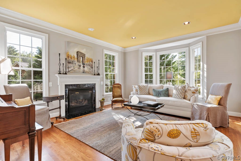14837 Felbridge Way Midlothian, VA 23113 - Photo 4 of 50 a living room with furniture and a fireplace