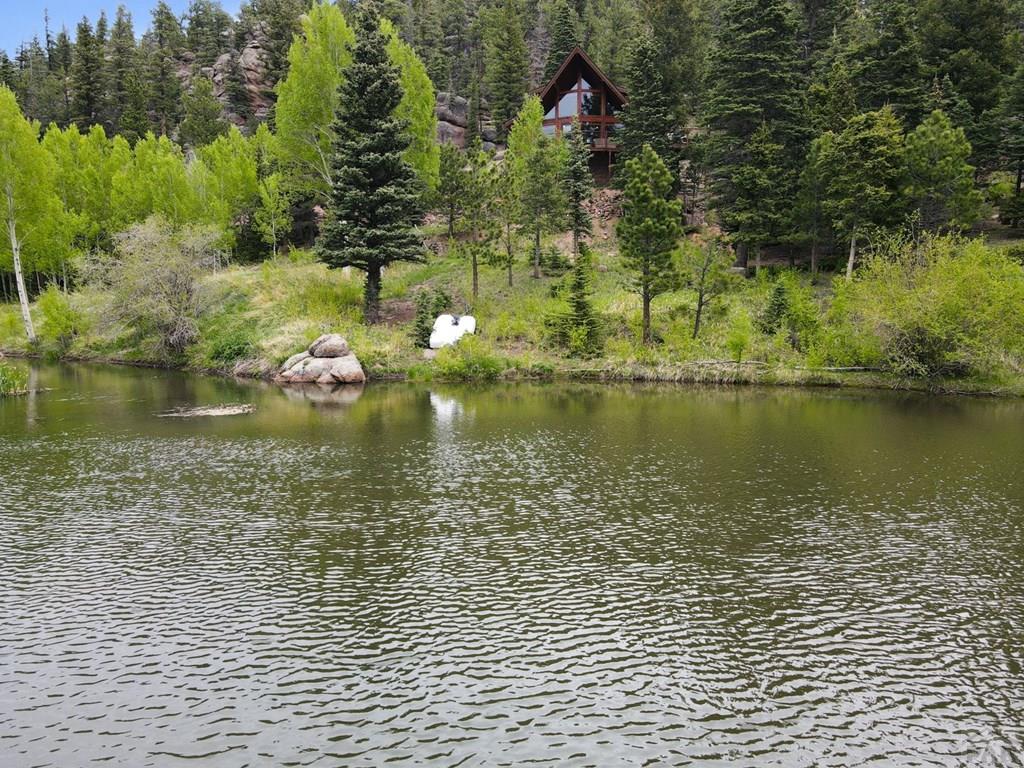 55 Westcliffe Drive Rye, CO 81069 - Photo 2 of 37 Gallery Image 2