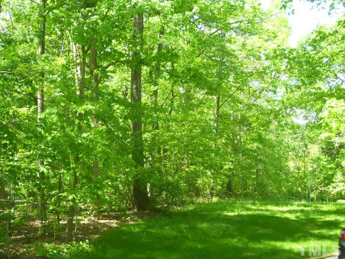 13017 Meadow Ridge Drive Rougemont, NC 27572 - Photo 18 of 20