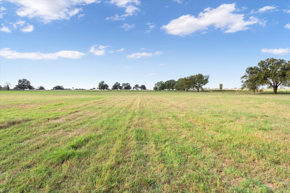 Tbd Wood Road Holland, TX 76534 - Photo 5 of 16