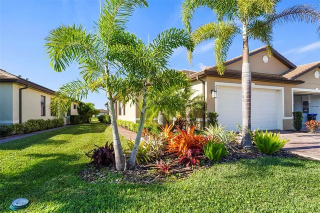 a view of a backyard with plants and a large tree