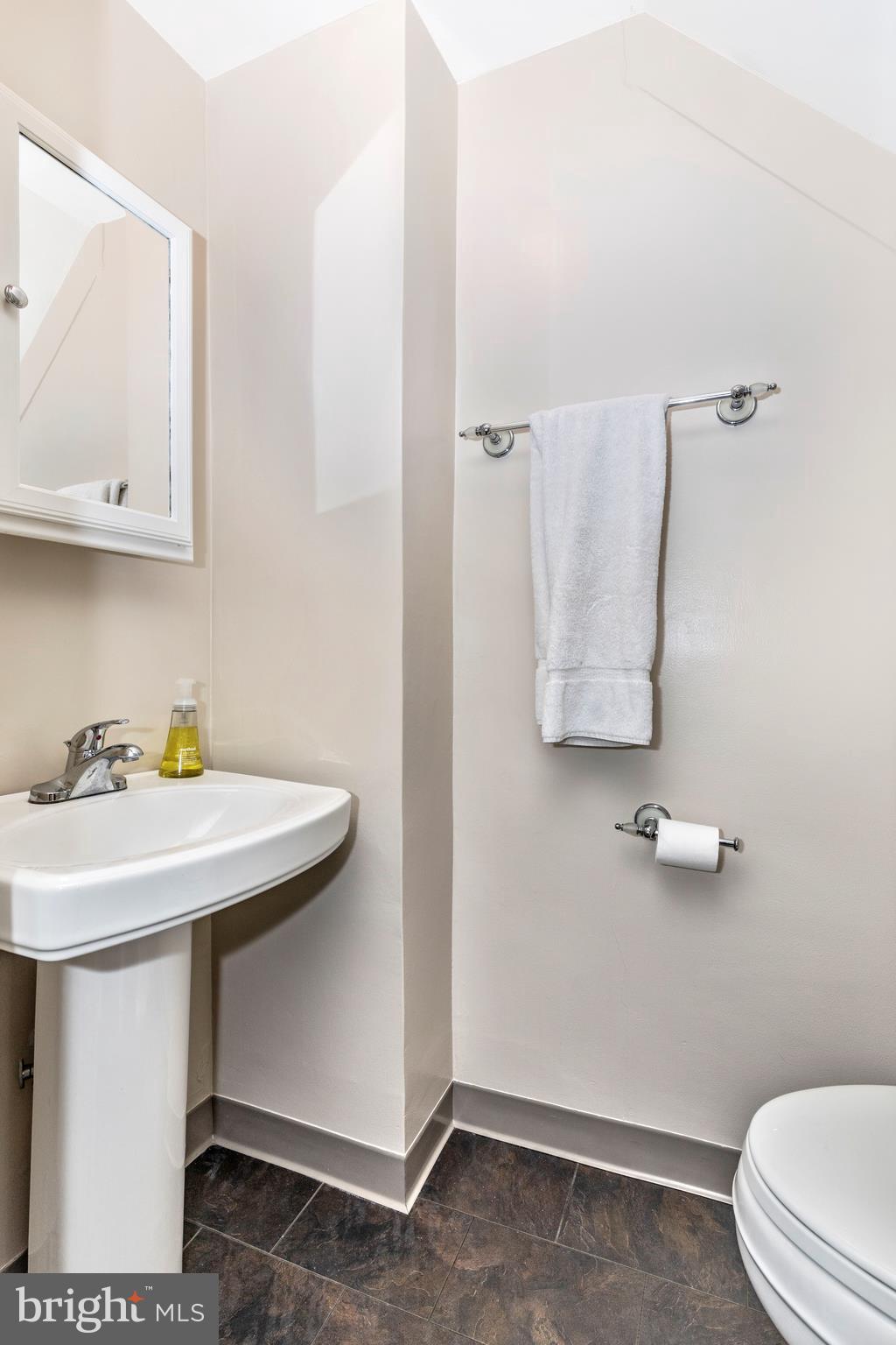 6809 Williamsport Pike Falling Waters, WV 25419 - Photo 6 of 29 Powder room