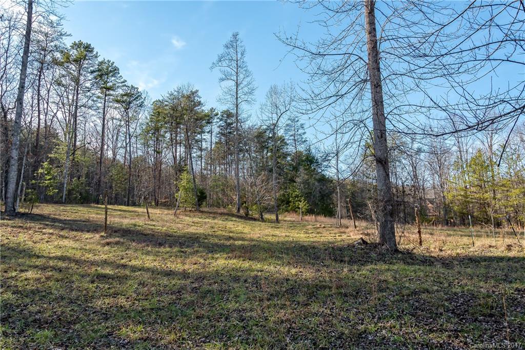 0 Sloping Meadow Mill Spring, NC 28756 - Photo 11 of 16