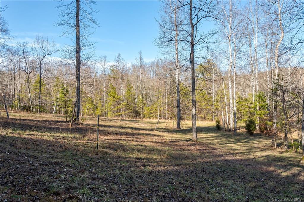 0 Sloping Meadow Mill Spring, NC 28756 - Photo 12 of 16