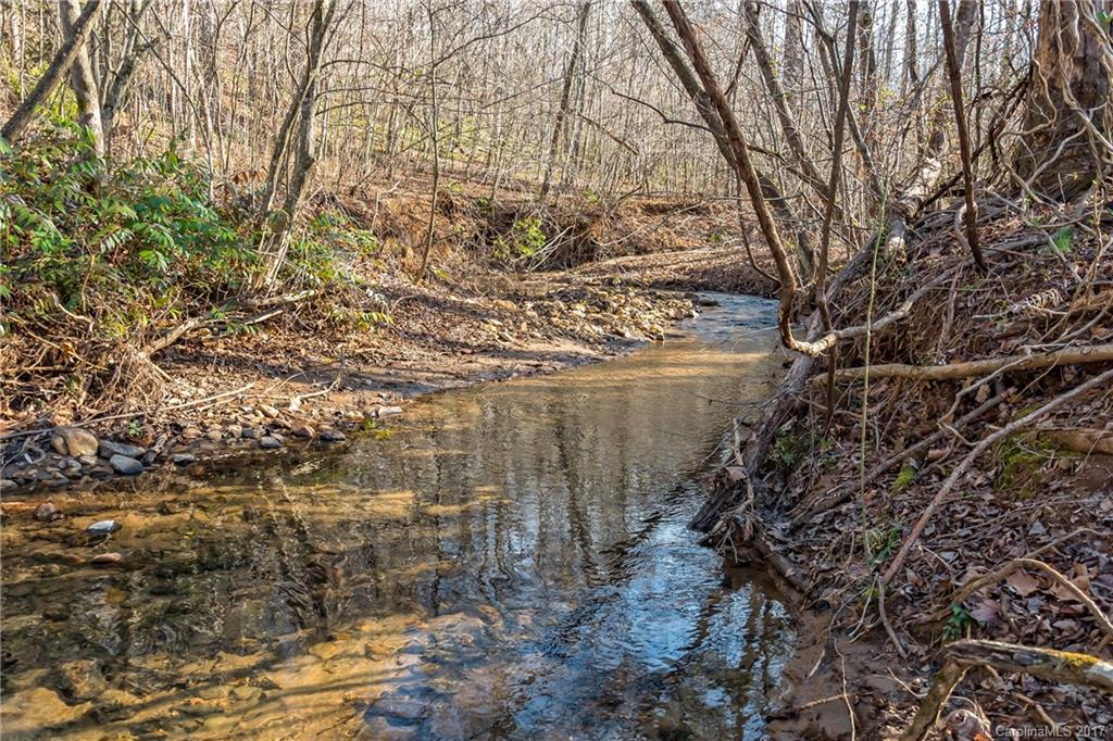0 Sloping Meadow Mill Spring, NC 28756 - Photo 14 of 16