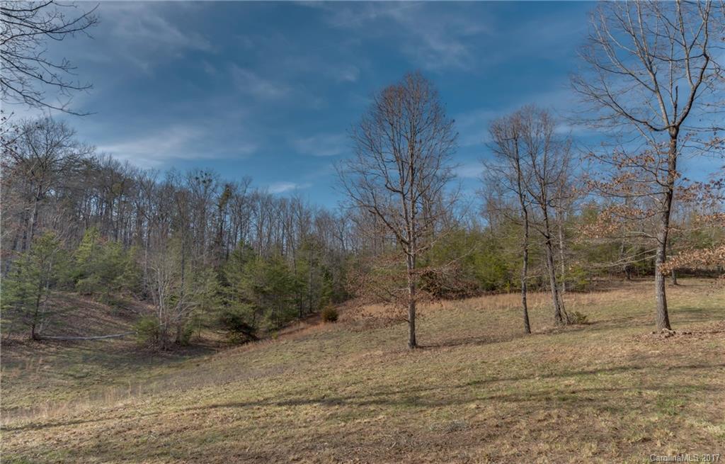 0 Sloping Meadow Mill Spring, NC 28756 - Photo 9 of 16