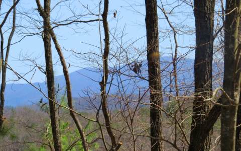 New Hope Road Ellijay, GA 30540 - Photo 1 of 1 Main View
