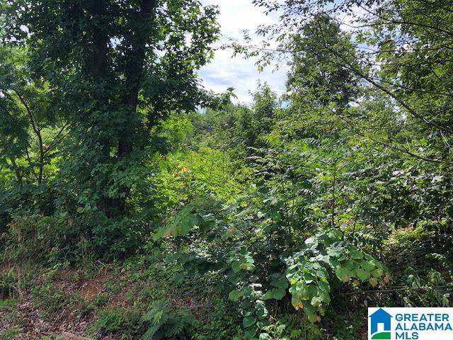 945 Menominee Road, Unit 85 Langston, AL 35755 - Photo 4 of 4