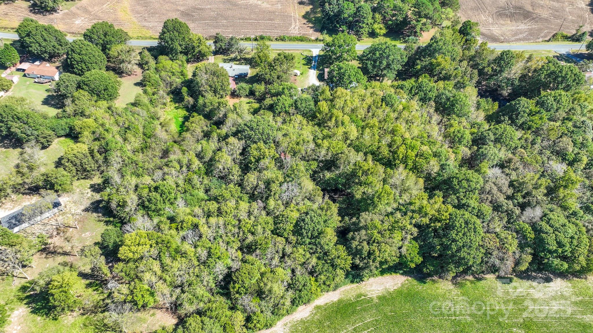2922 Joe Griffin Road Monroe, NC 28112 - Photo 9 of 26 view of a lush green forest with lots of trees