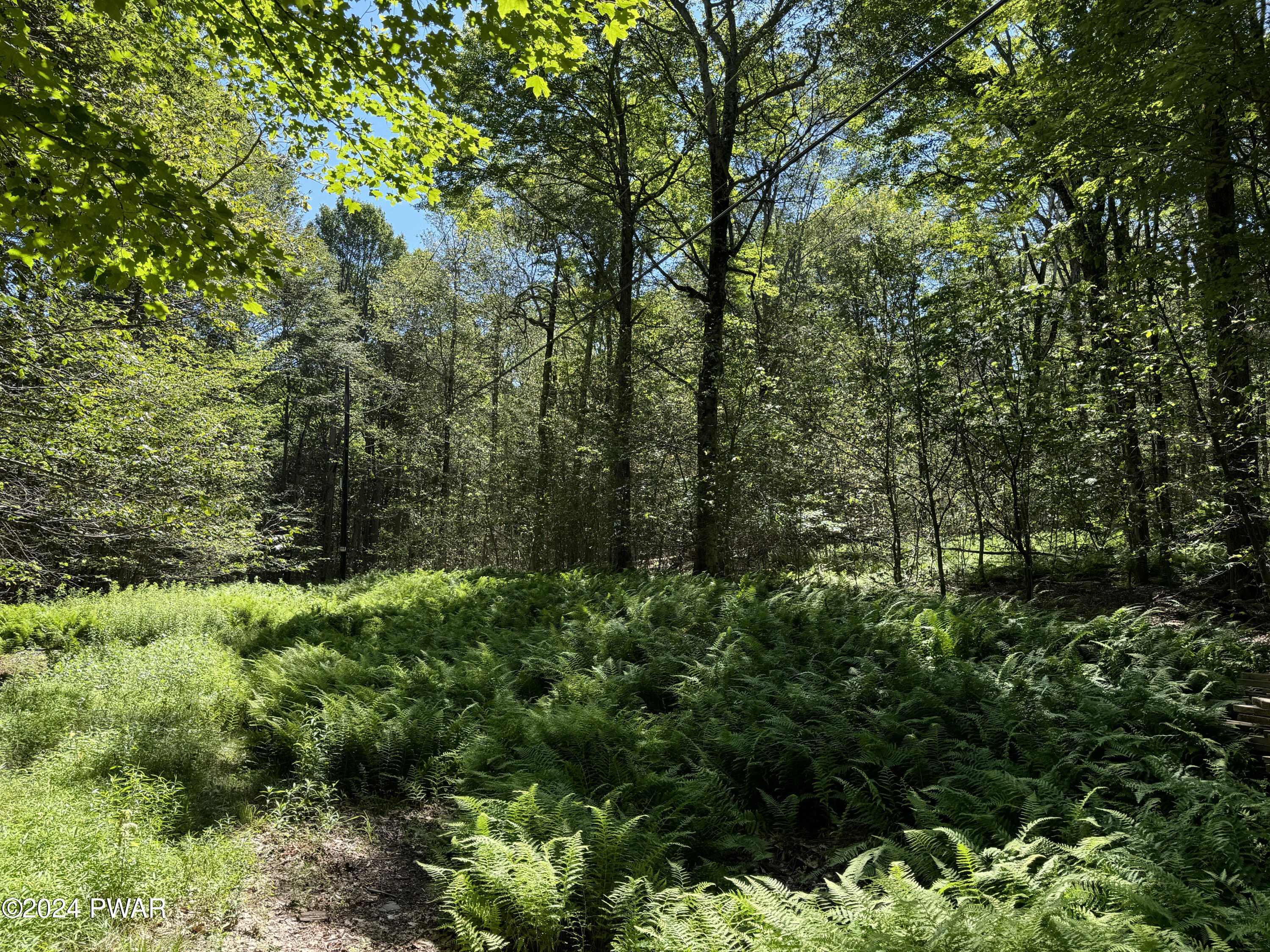 Deesch Road Greentown, PA 18426 - Photo 4 of 5
