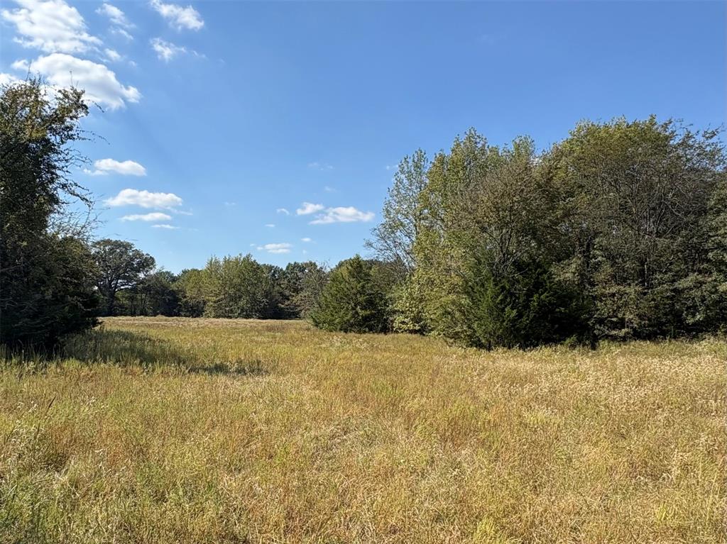 1094 Southwest Sw Cr Saltillo, TX 75478 - Photo 27 of 39