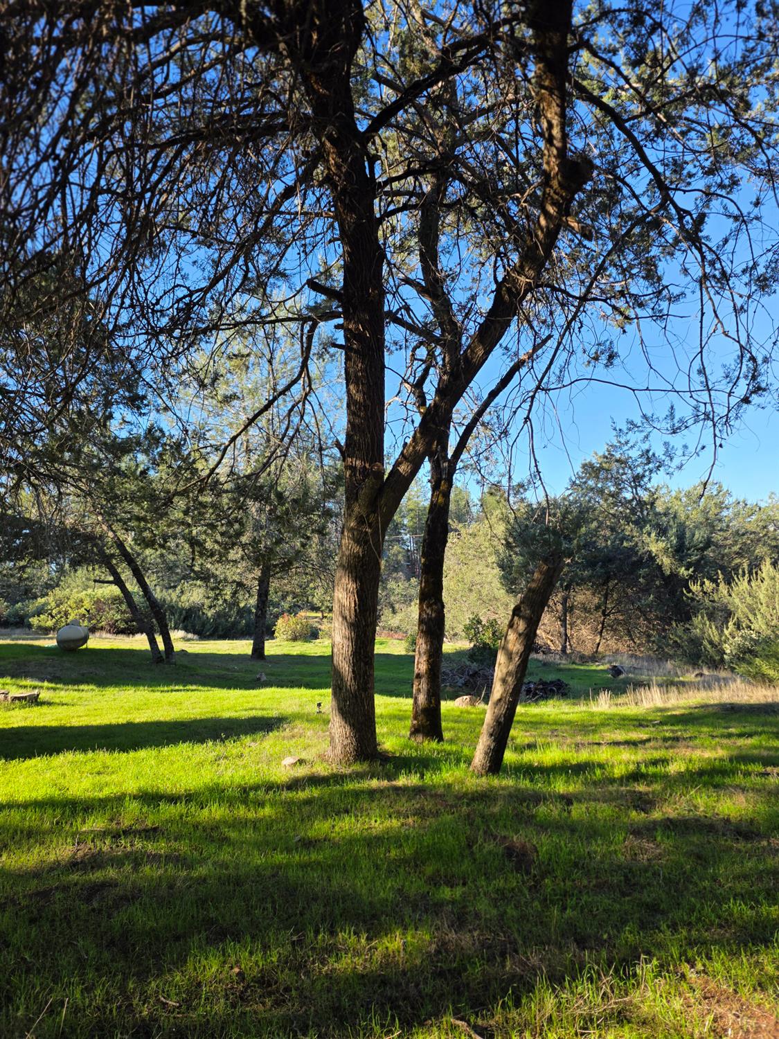 10402 Newtown Road Nevada City, CA 95959 - Photo 35 of 44 a view of a golf course