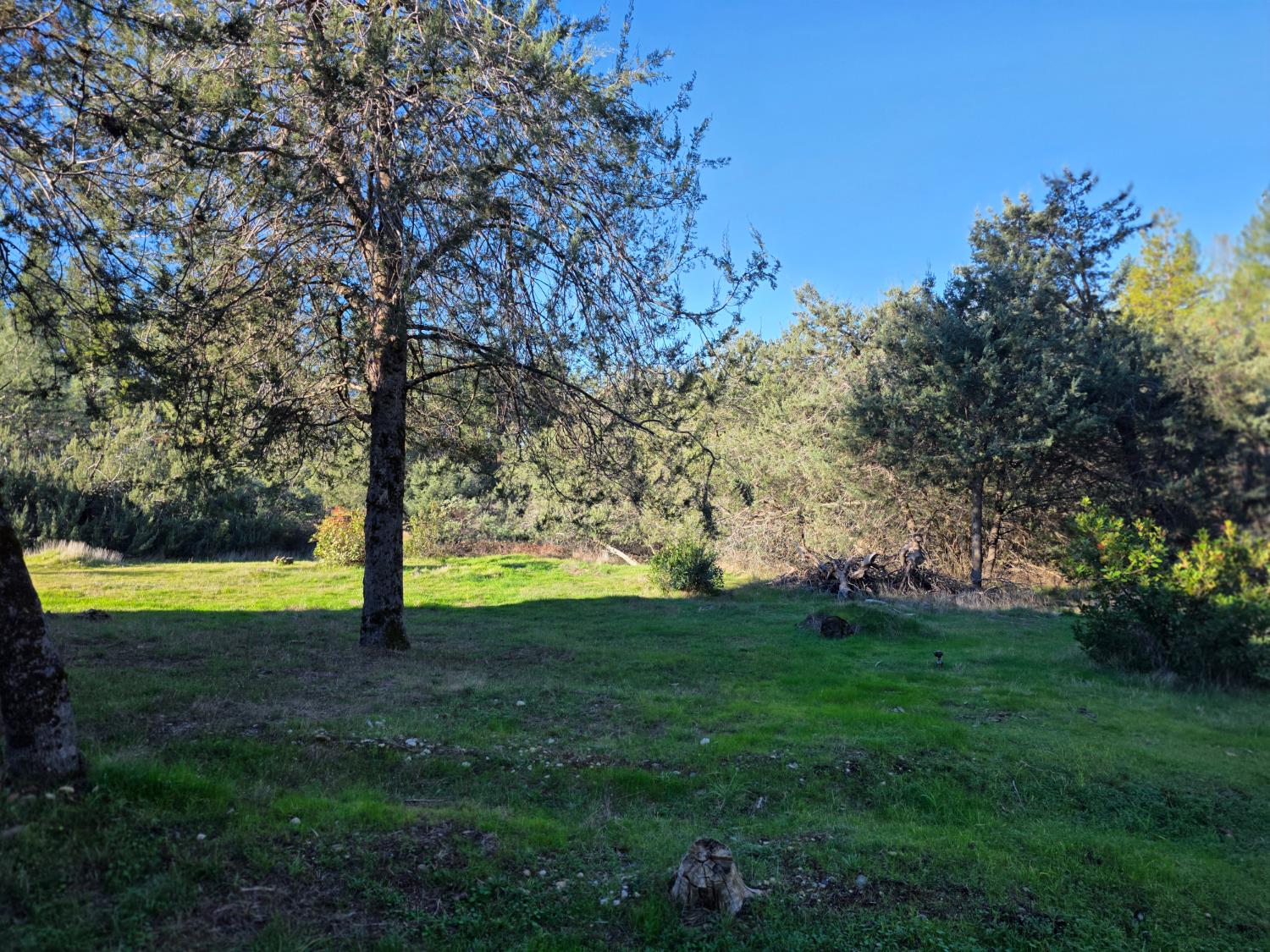 10402 Newtown Road Nevada City, CA 95959 - Photo 36 of 44 a view of an outdoor space and yard