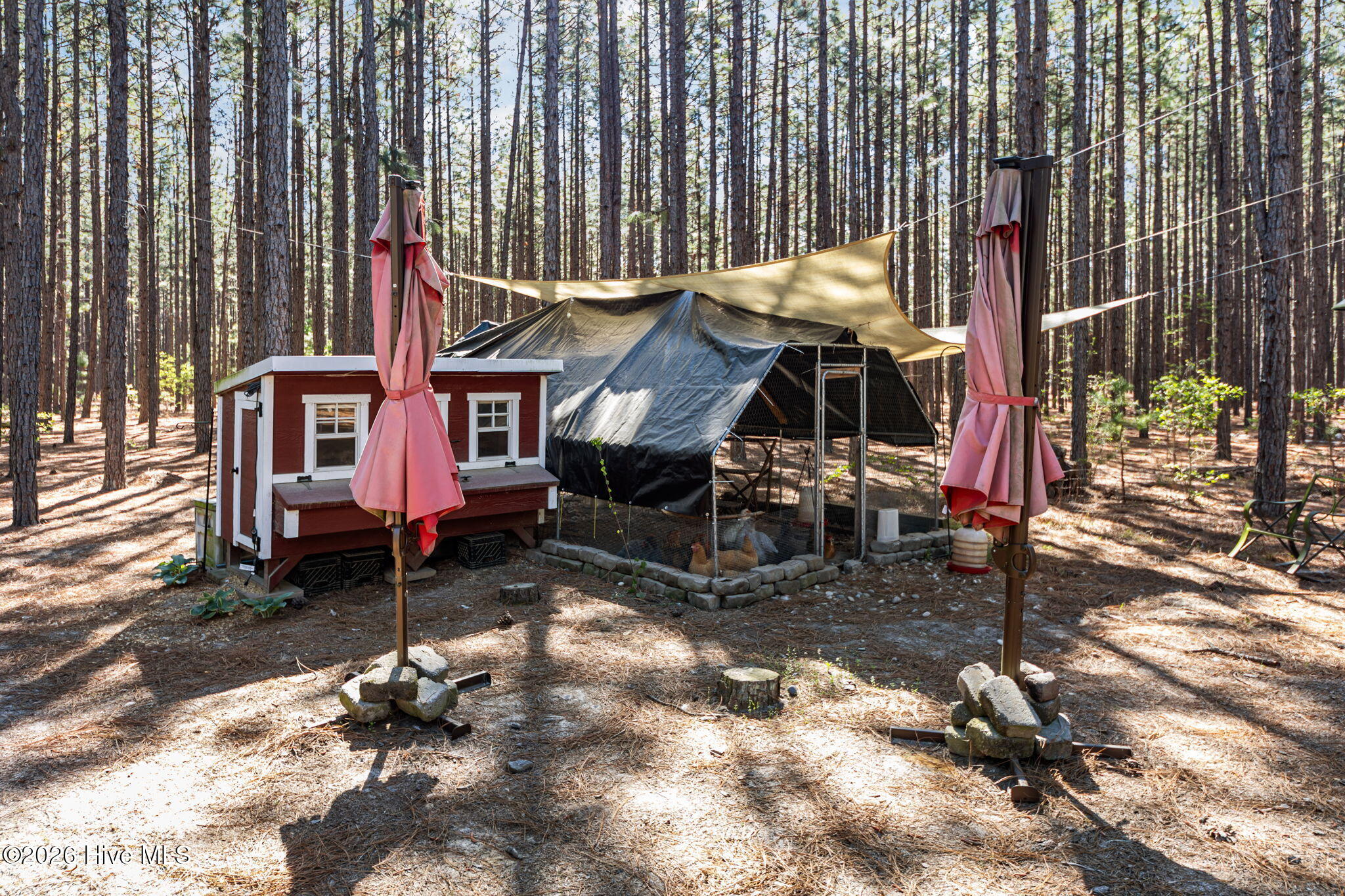 9050 Calloway Road Aberdeen, NC 28315 - Photo 11 of 56 41-web-or-mls-707A9935