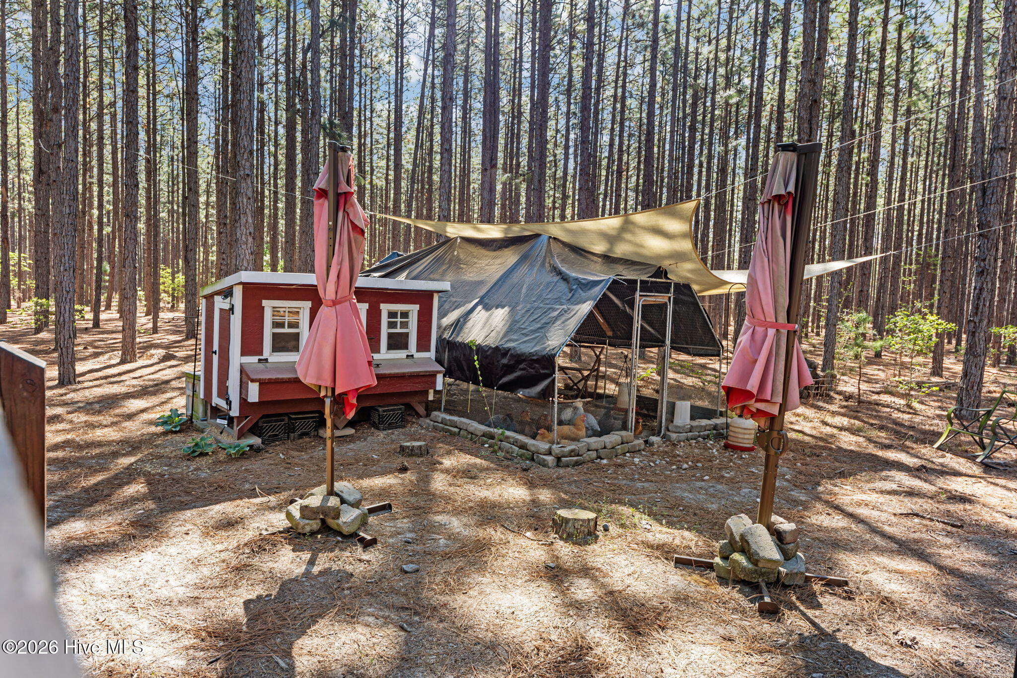 9050 Calloway Road Aberdeen, NC 28315 - Photo 12 of 56 42-web-or-mls-707A9936