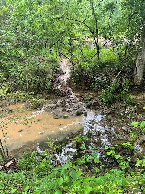 2202 Woodmont Drive Springfield, TN 37172 - Photo 48 of 50 a view of a yard with plants and a large tree