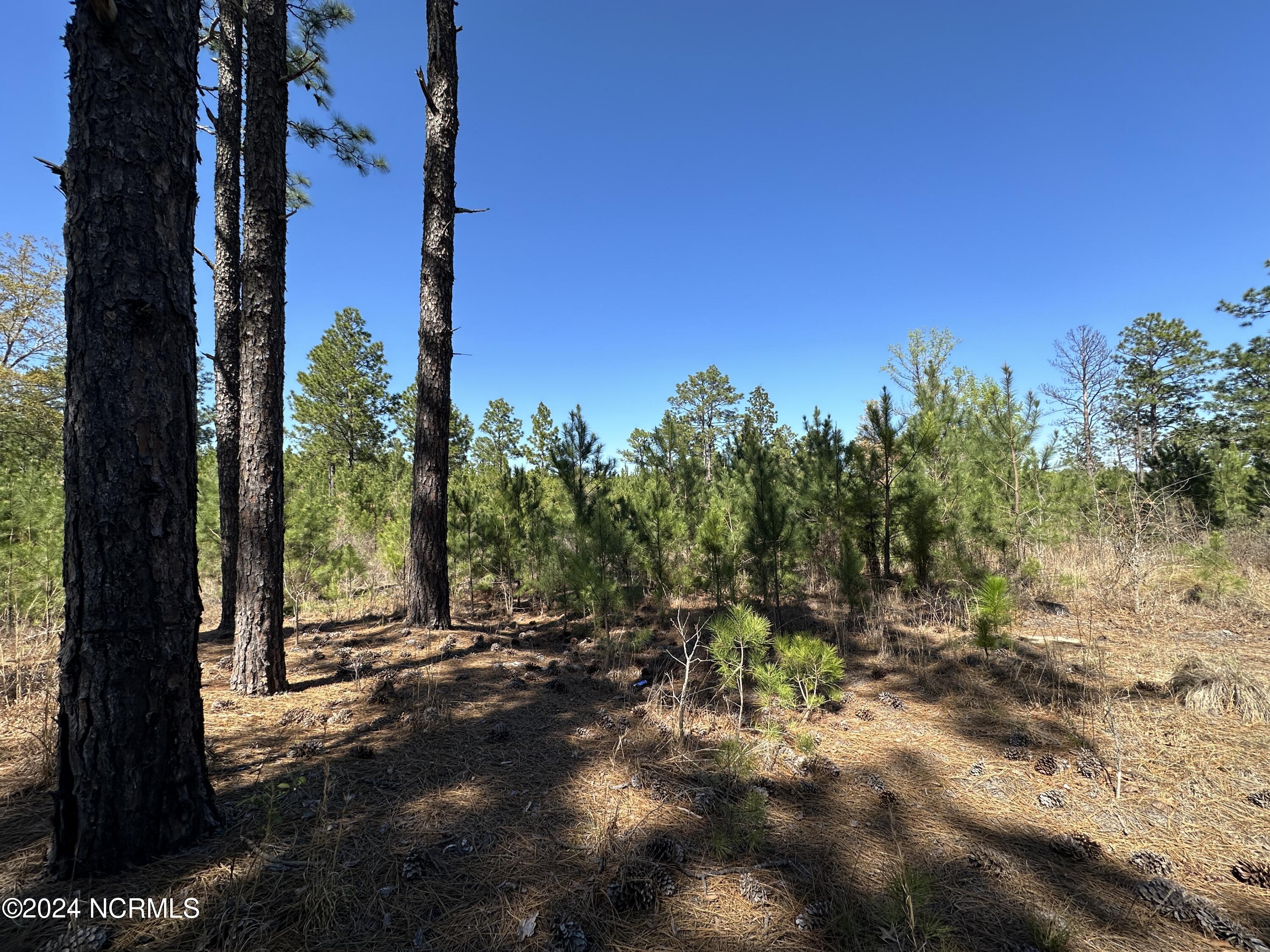 1964 Foxfire Road Jackson Springs, NC 27281 - Photo 2 of 8 Foxfire Rd