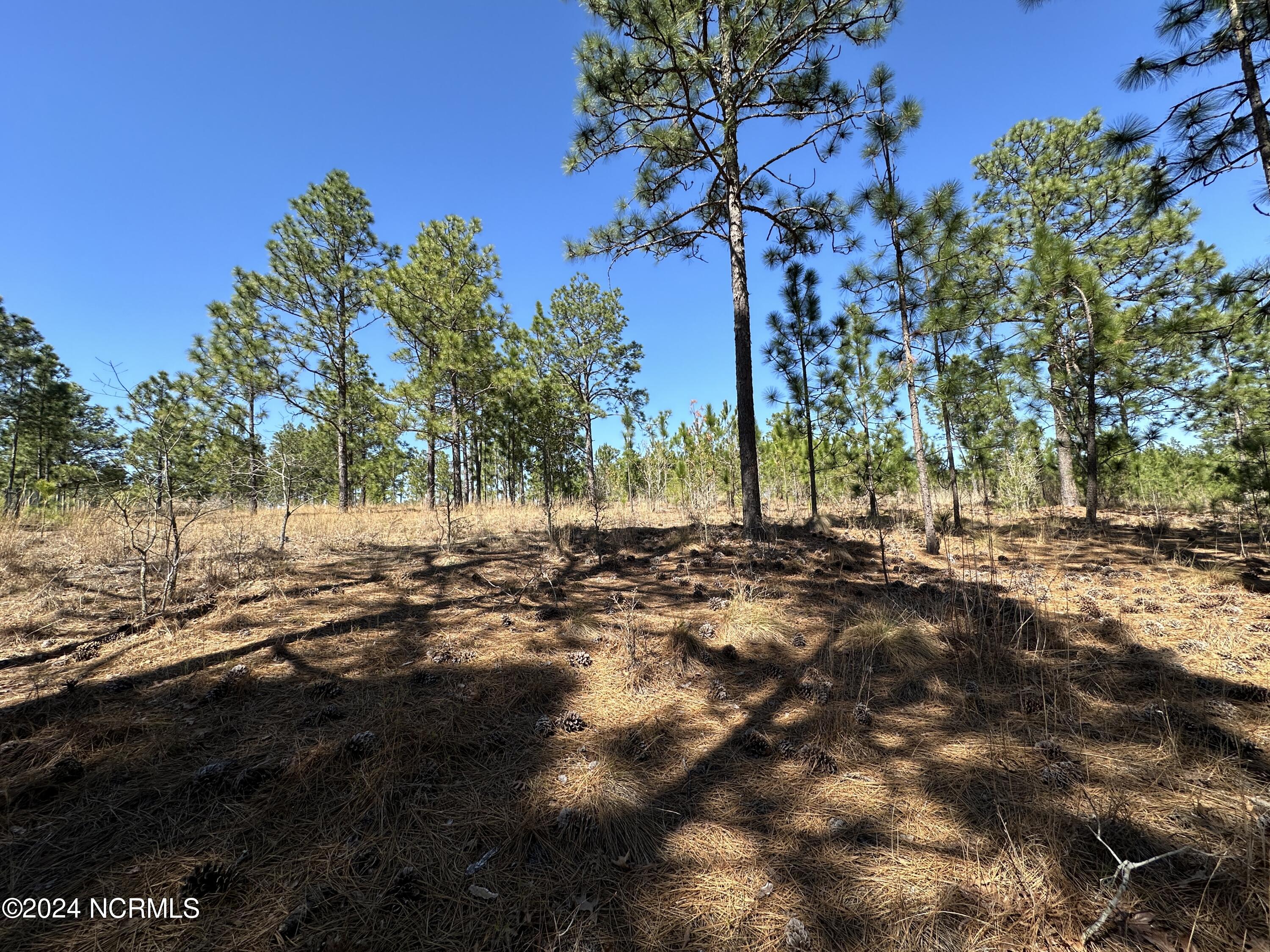 1964 Foxfire Road Jackson Springs, NC 27281 - Photo 3 of 8 Foxfire Rd
