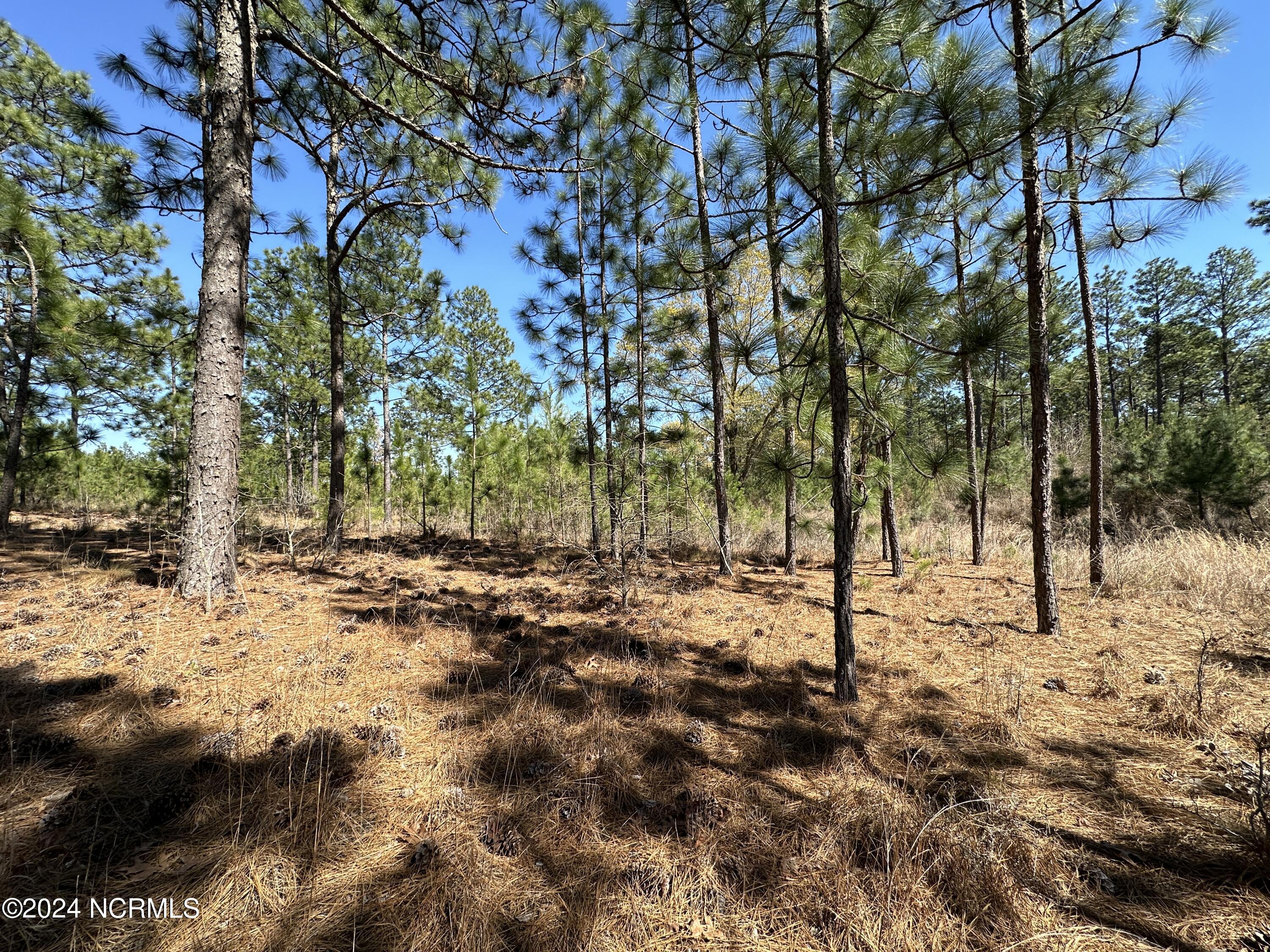 1964 Foxfire Road Jackson Springs, NC 27281 - Photo 4 of 8 Foxfire Rd