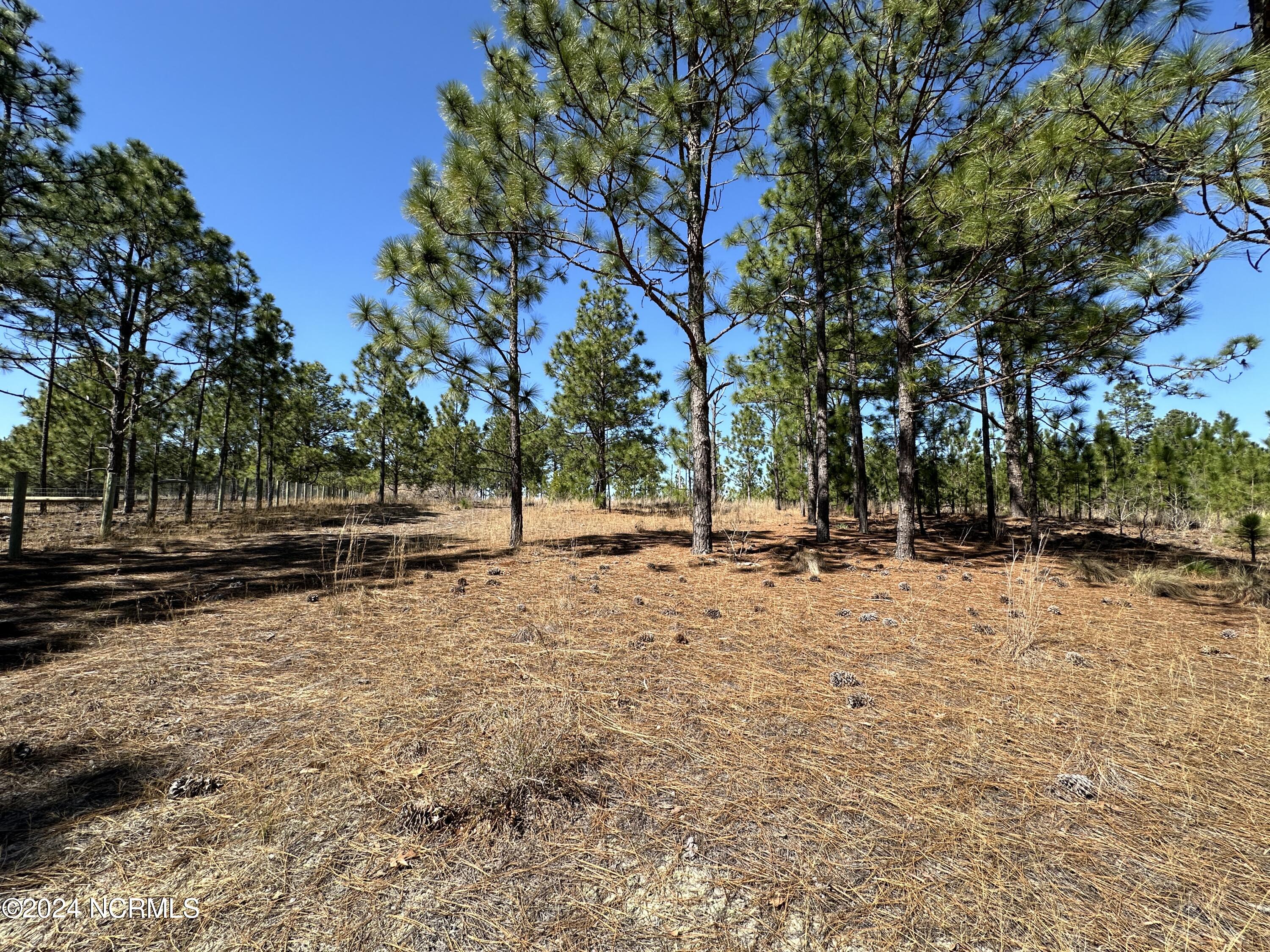 1964 Foxfire Road Jackson Springs, NC 27281 - Photo 5 of 8 Foxfire Rd