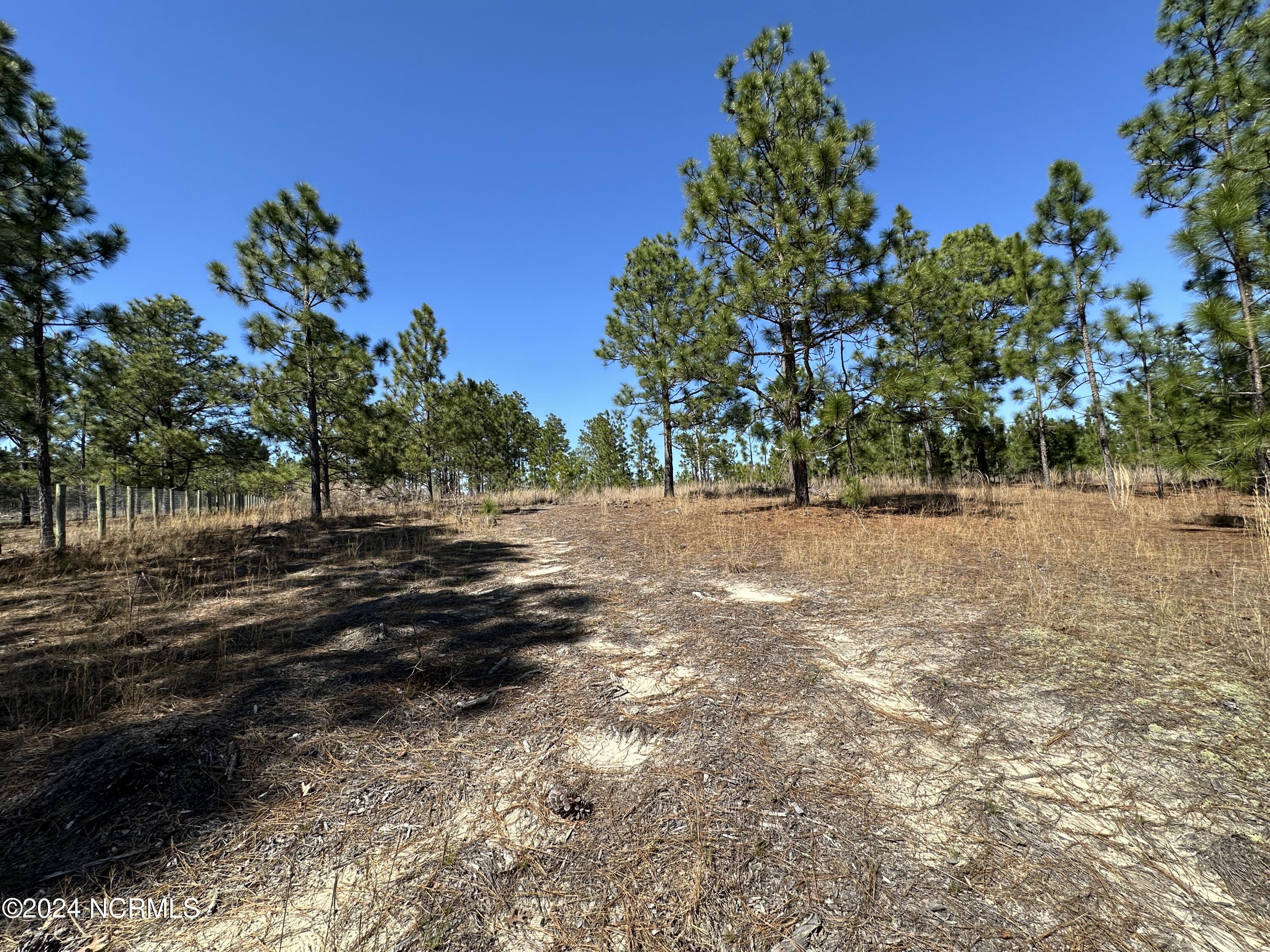 1964 Foxfire Road Jackson Springs, NC 27281 - Photo 6 of 8 Foxfire Rd