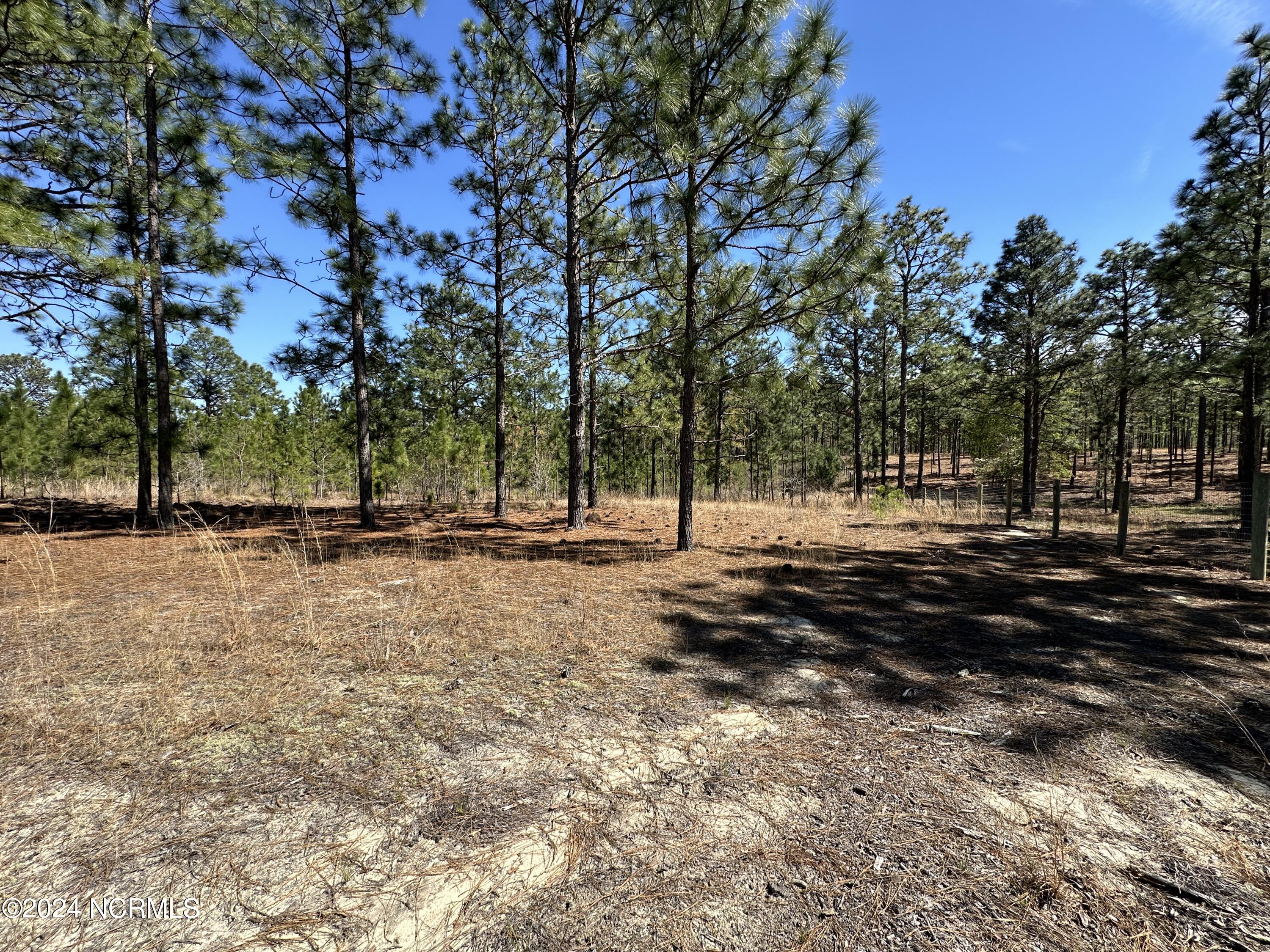 1964 Foxfire Road Jackson Springs, NC 27281 - Photo 7 of 8 Foxfire Rd