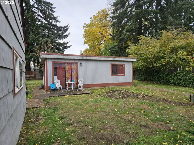 a view of a backyard with plants and large trees