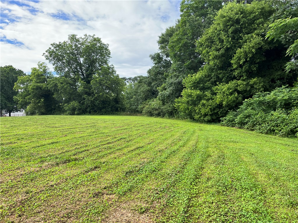 237 East Main Street Pendleton, SC 29670 - Photo 14 of 16 Green expanse with mature trees offering natural seclusion.