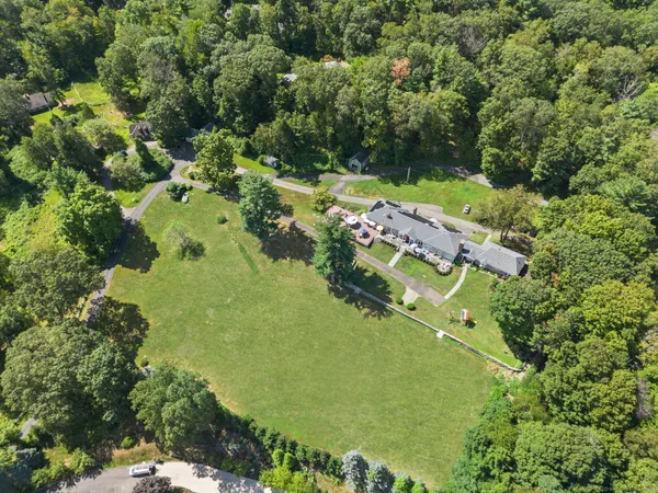 a view of a yard with a tree