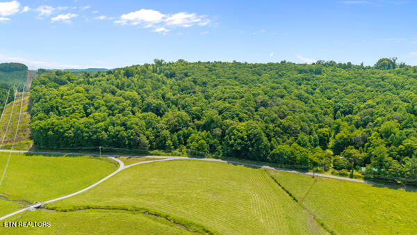 1913 Dry Fork Valley Road Philadelphia, TN 37846 - Photo 10 of 12 IMG_5758