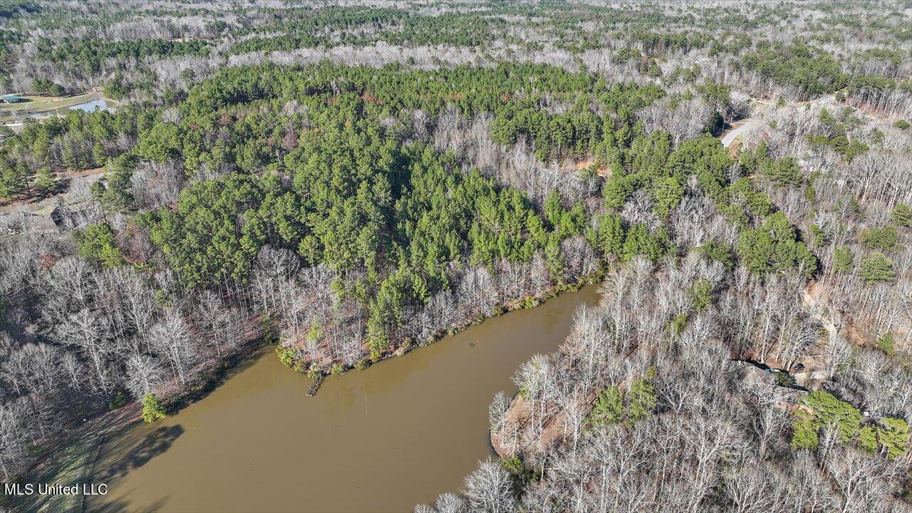 1074 Ridgeside Drive Brandon, MS 39042 - Photo 4 of 30 03-1074 Ridgeside Dr