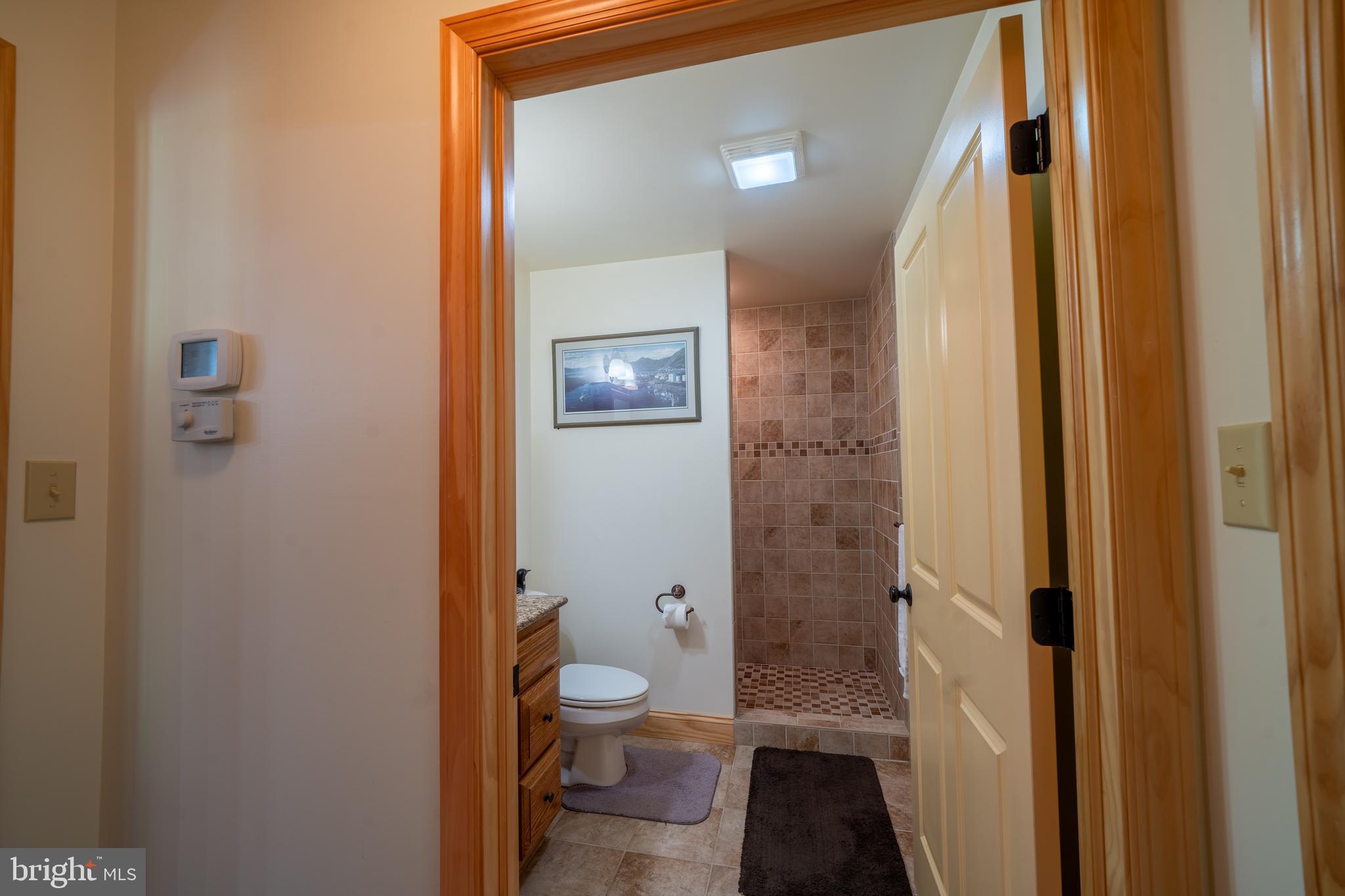 1020 Clark Hill Road Mount Pleasant Mills, PA 17853 - Photo 46 of 76 a bathroom with a toilet and a shower