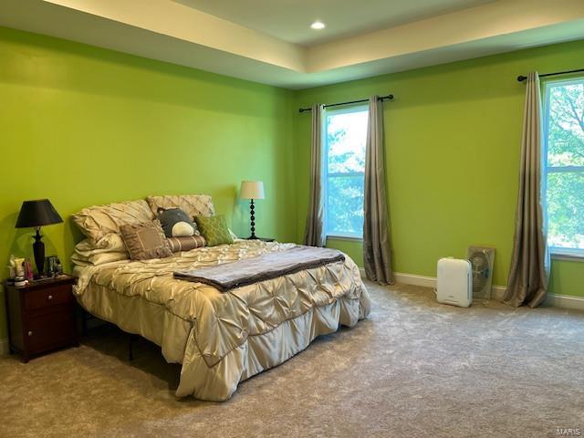 829 Harding Street St. Peters, MO 63376 - Photo 11 of 35 Gallery Image 11